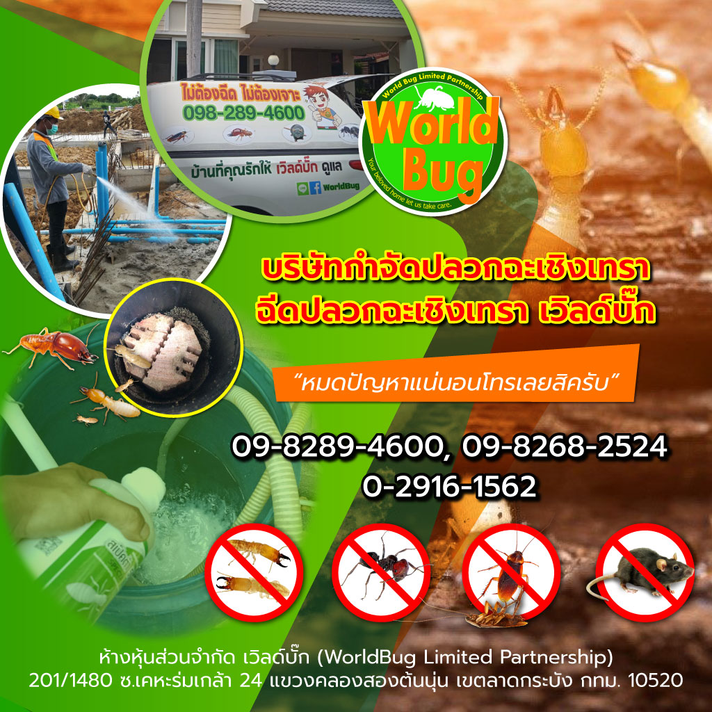 Mobile เวิลด์บั๊ก บริษัทกำจัดปลวกฉะเชิงเทรา ฉีดปลวกฉะเชิงเทรา